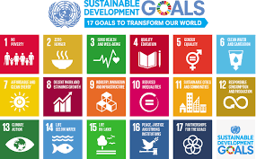 UN SDGs